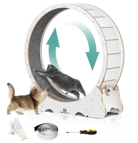 Cat Exercise Treadmill With Carpeted Runway (Color: White)